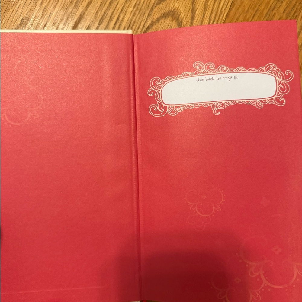 Taylor Swift Red notebook - Picture 4 of 5